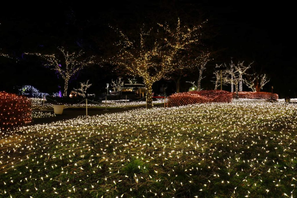 龜岡廣場（會場）