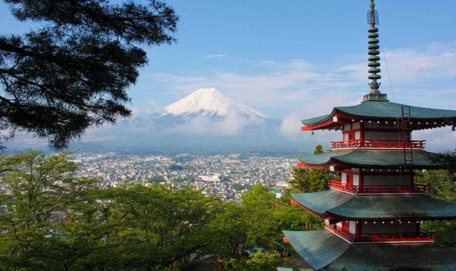 富士迴游？富士山特急？要怎麼去富士山？看完你就懂了！