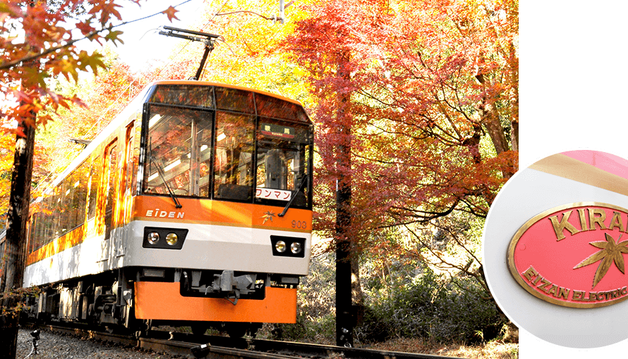 叡山電車的紅葉隧道：坐在車里觀賞紅葉！