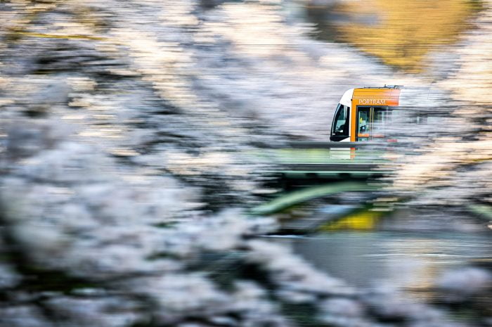 JR東日本6大PASS怎麼選？教你玩轉JR東日本鐵路周遊券