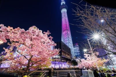 skytree-sakura