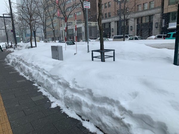 HOKKAIDO Snow in Sapporo Street