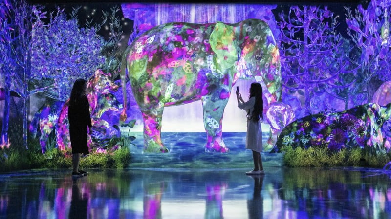 teamLab Planets ‘Forest of Capture and Collection’