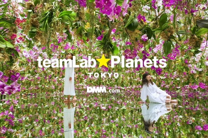 東京豐洲 teamLab Planets ：2025年新區域即將亮相