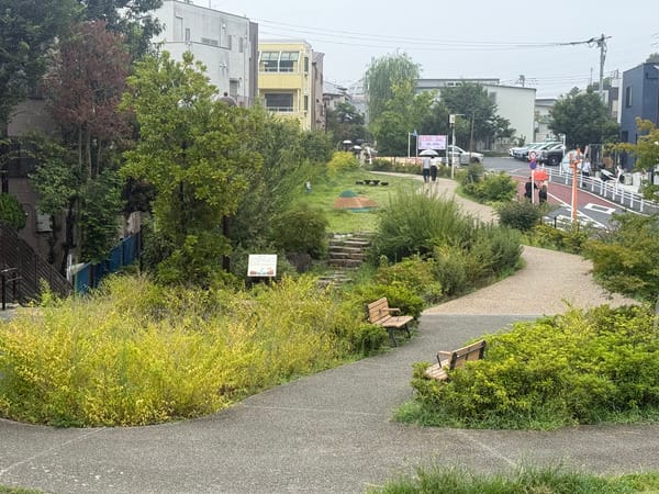下北雨庭廣場，高草和野生植被沿著步道生長