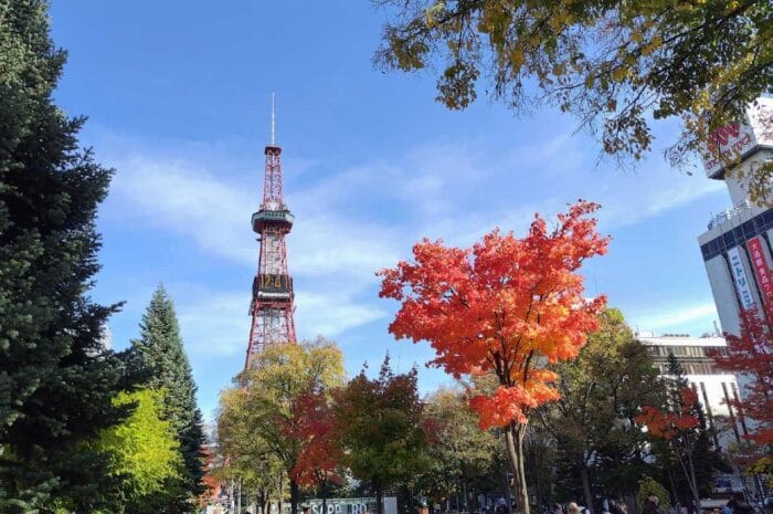 11月去北海道還看得到紅葉嗎？札幌、函館見頃與親子自駕提醒